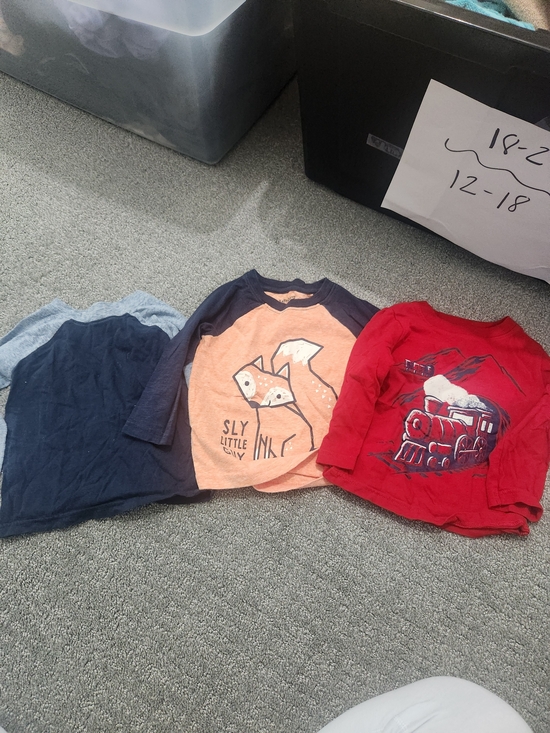 jumping beans Other - 3 Long Sleeve Jumping Beans 18 Mth Orange & Navy Fox, Raglan Tee, Train
